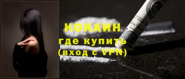 соль ск Абаза