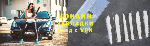 прущие грибы Аша