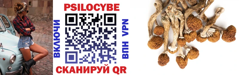 Псилоцибиновые грибы Psilocybe  Фокино 